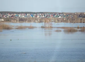 В Курганской области обследуют 669 пострадавших от паводка домов