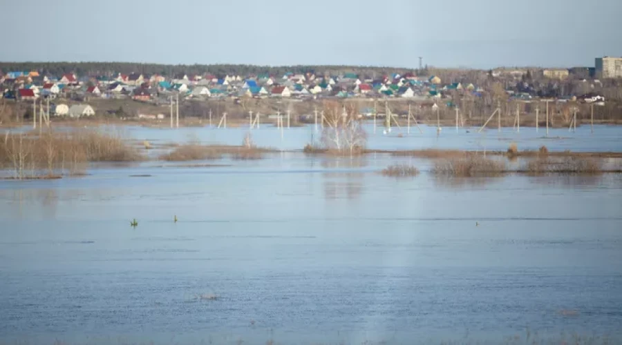 В Курганской области обследуют 669 пострадавших от паводка домов