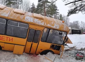 Число пострадавших в ДТП с автобусом под Псковом выросло до 17, включая 13 детей