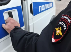 Полиция Владивостока проверяет данные об обнаружении отрезанных лап медведей