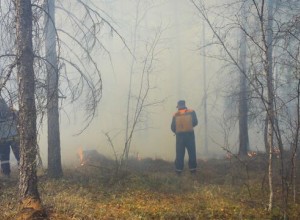Природный пожар в Приморье локализовали на площади в 950 гектаров