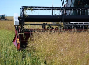 Забайкальским сельхозтоваропроизводителям в этом году компенсируют затраты на технику