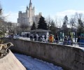 Капибары становятся любимцами многих посетителей Московского зоопарка