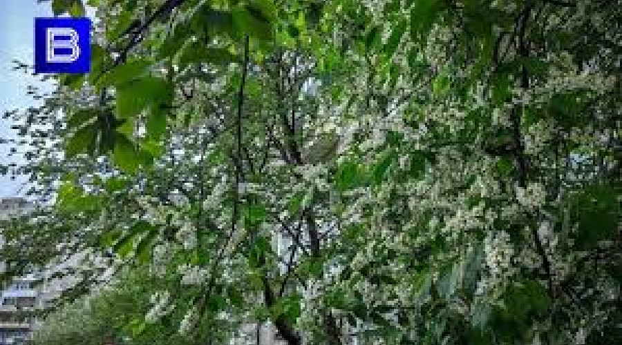 Утро России: отправляемся в путешествие на велосипеде до Териберки