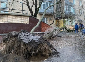 В Москве четыре человека пострадали при падении деревьев из-за мощного циклона