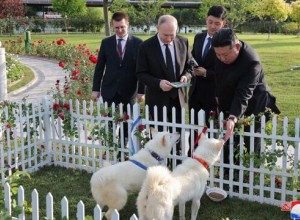 Экс-глава протокола Кремля назвал собак как подарок Путину от КНДР шагом дружбы