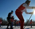 Габовская народная лыжня в Дмитрове победила на Всероссийском конкурсе