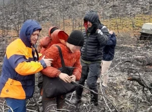 Магаданские спасатели эвакуировали из тайги геолога с острой болью в животе