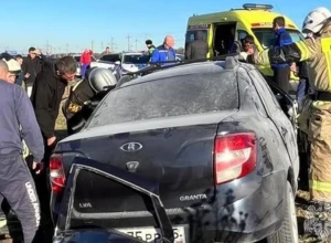 В ДТП с лошадью и двумя машинами в Северной Осетии погибли четыре человека