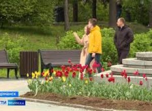 Новые дорожные знаки и места для фотосессий появились в Мурманске