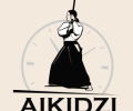 Aikidzi