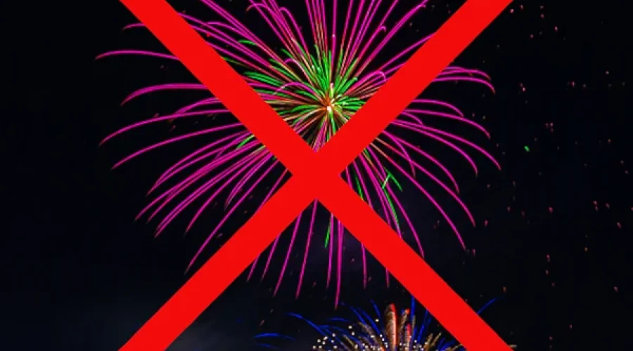 По 31 января 2026 года в Одинцовском округе введён запрет на использование пиротехники. 