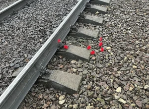 Два человека погибли на железной дороге в Одинцовском округе в первую неделю ноября