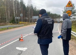  В Ленинградской области в реке нашли расчлененное тело