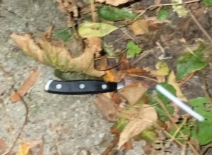 13 лет колонии получил мужчина, который зарезал знакомого-инвалида возле дома в Одинцово