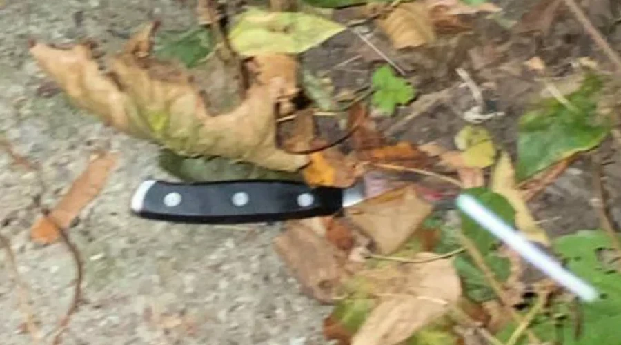 13 лет колонии получил мужчина, который зарезал знакомого-инвалида возле дома в Одинцово