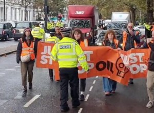 В Лондоне задержали 35 экоактивистов, устроивших протест на дороге