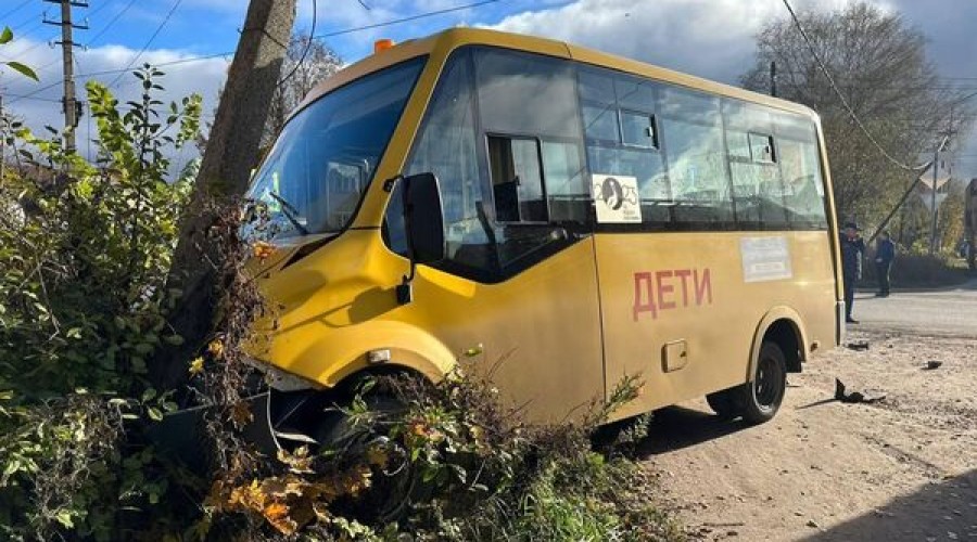 В Новгородской области Лада Приора въехала в школьный автобус