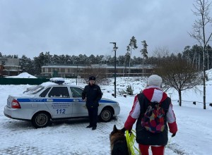 Сотрудники одинцовской полиции в 2025 году выявили 25 нарушений правил выгула собак в общественных местах