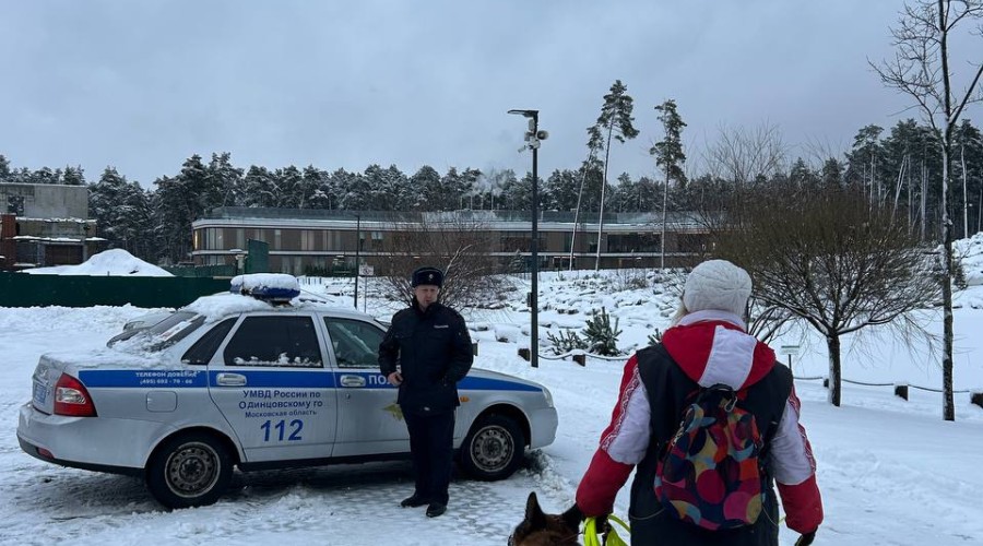 Сотрудники одинцовской полиции в 2025 году выявили 25 нарушений правил выгула собак в общественных местах