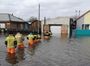 В зоне подтопления в Алтайском крае оказались 478 домов и 943 участка