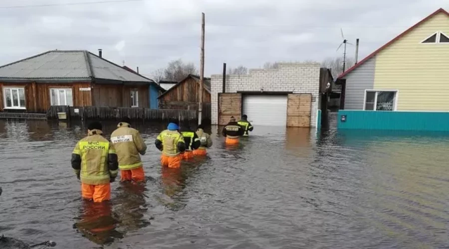 В зоне подтопления в Алтайском крае оказались 478 домов и 943 участка