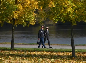 Бесплатные экскурсии в парках Московской области