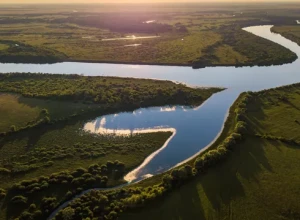 Нижегородцы собрали 2,5 тонны отходов на берегу Оки на акции Марафон рек