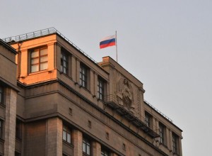 Депутат Стенякина: опекуны детей-инвалидов получают 11 тысяч рублей ежемесячно