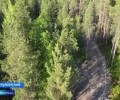 В Верхнетуломском соседи перегородили единственный проезд к дому