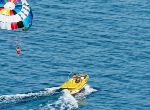 На Кубани двух отдыхающих на море с парашютом занесло на дерево