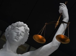 Суд Москвы вернул девушке кошку, которую ей отказывался отдавать сожитель