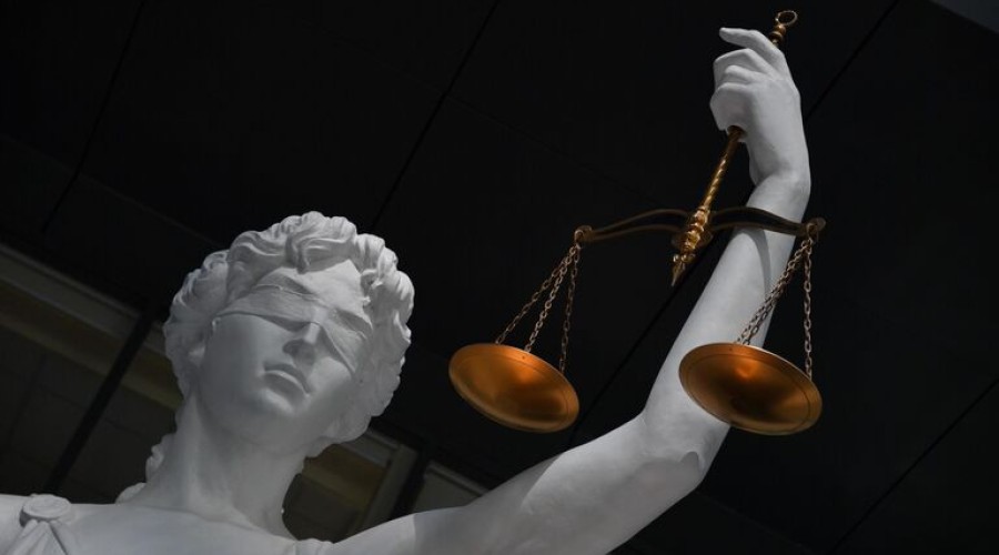 Суд Москвы вернул девушке кошку, которую ей отказывался отдавать сожитель