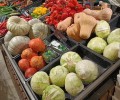 Картофель, белокочанная капуста, куриные яйца и репчатый лук подешевели в Мурманской области за неделю