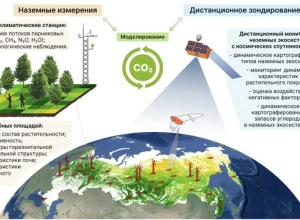 Национальная система мониторинга