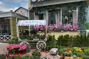 Цветы и Декор