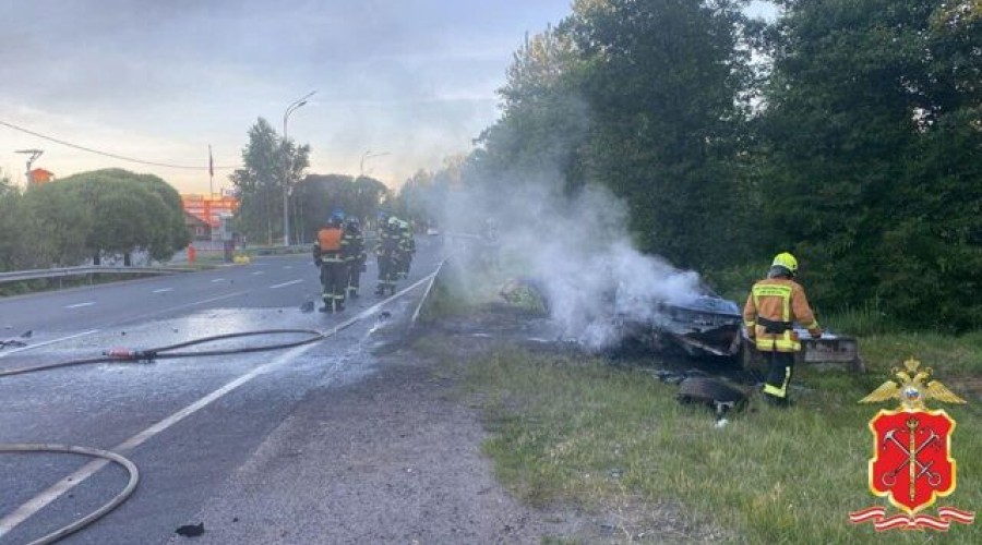 В Петербурге Audi вылетел с дороги в столб и загорелся, погибли 3 человека