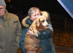 В подмосковном Подольске спасли пожилую таксу, застрявшую в канализационном люке