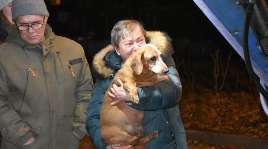 В подмосковном Подольске спасли пожилую таксу, застрявшую в канализационном люке