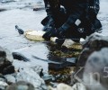 Эффективность зарыбления на реке Монча превысила 95%