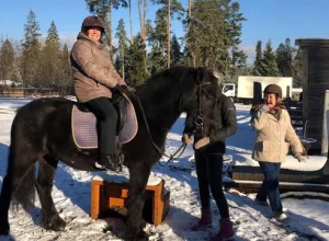  В рамках программы Активное долголетие пенсионеры из подмосковного Королева осваивают сапбординг, верховую езду и другие занятия