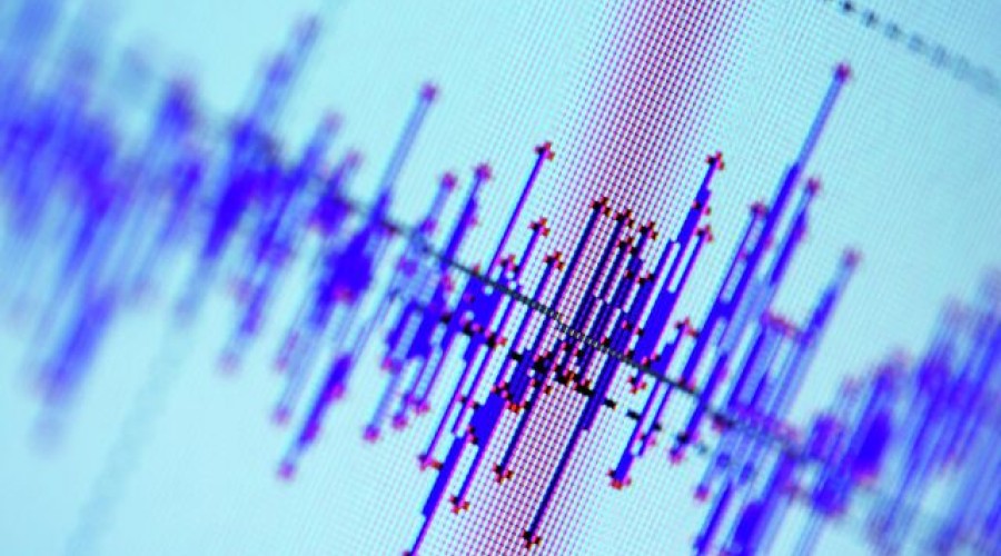 В Индии произошло землетрясение магнитудой 5,2