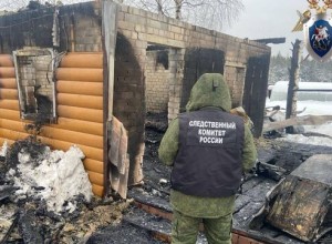 При пожаре в деревне в Нижегородской области погибли трое детей