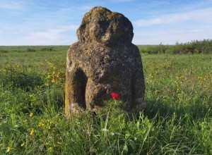 В ДНР и Запорожской области создадут государственный заповедник Степь Донецкая