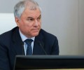 Володин: основания для лишения гражданства РФ будут расширяться и дальше
