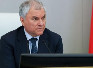 Володин: основания для лишения гражданства РФ будут расширяться и дальше