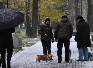 В Москве в понедельник ожидается слабый снег и до минус шести градусов