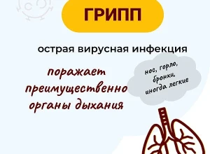 Жителей Одинцовского округа предупреждают об опасностях, связанных с гриппом
