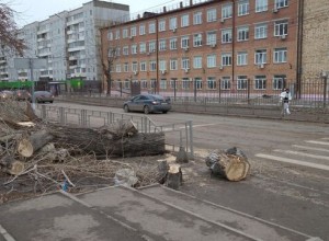 Более 110 населенных пунктов Красноярского края остались без света из-за ветра