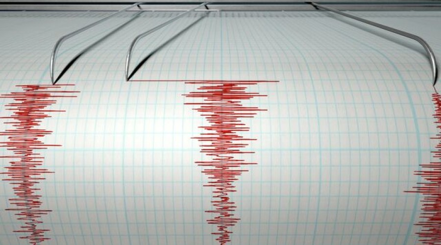 У побережья Курил произошло землетрясение магнитудой 5,1